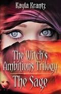 Cover: The Sage - Into the Darkness Publishing