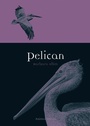 Cover: Pelican - Reaktion Books