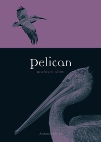 Enlarge image Cover: Pelican - Reaktion Books