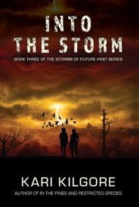Abbildung von: Into the Storm - Spiral Publishing, Ltd.