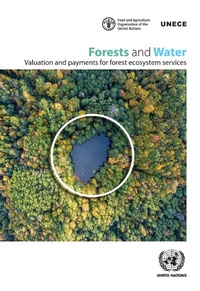 Abbildung von: Forests and Water - United Nations