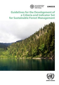 Abbildung von: Guidelines for the Development of a Criteria and Indicator Set for Sustainable Forest Management - United Nations