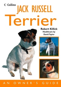 Enlarge image Cover: Jack Russell Terrier - Collins