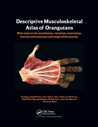 Abbildung von: Photographic and Descriptive Musculoskeletal Atlas of Orangutans - CRC Press