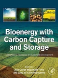 Cover: Bioenergy with Carbon Capture and Storage - Academic Press