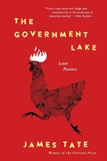 Cover: The Government Lake - Collins