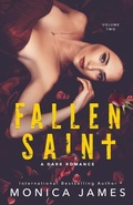 Cover: Fallen Saint - Monica James