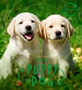 Cover: Lifecycles - Pup To Dog - words & pictures
