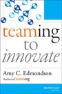 Cover: Teaming to Innovate - Wiley