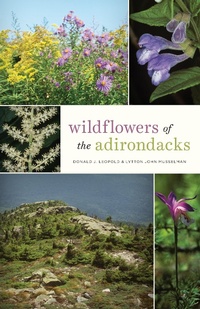 Abbildung von: Wildflowers of the Adirondacks - Johns Hopkins University Press