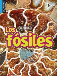 Enlarge image Cover: Los Fosiles - Lightbox