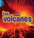 Cover: Los Volcanes - Lightbox