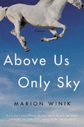 Cover: Above Us Only Sky - Counterpoint