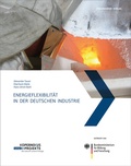 Cover: Energieflexibilit&auml;t in der deutschen Industrie - Fraunhofer Verlag
