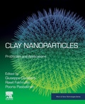 Cover: Clay Nanoparticles - Elsevier