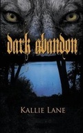Cover: Dark Abandon - Wild Rose Press