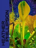 Cover: Heather Phillipson - Prestel