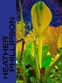 Enlarge image Cover: Heather Phillipson - Prestel