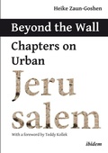Cover: Beyond the Wall - ibidem