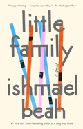 Cover: Little Family - Riverhead Books