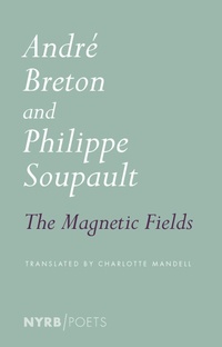 Enlarge image Cover: Magnetic Fields - NYRB Poets