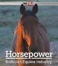Abbildung von: Horsepower - Indiana University Press