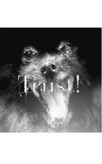 Abbildung von: Trust pomerainan dog Journal - Blurb