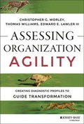 Cover: Assessing Organization Agility - Jossey-Bass