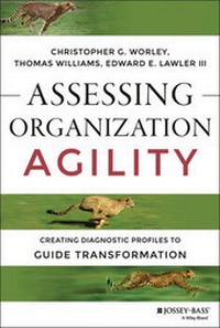 Abbildung von: Assessing Organization Agility - Jossey-Bass