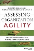 Cover: Assessing Organization Agility - Wiley