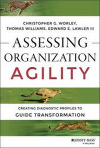 Enlarge image Cover: Assessing Organization Agility - Wiley