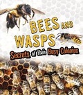 Cover: Bees and Wasps - Raintree