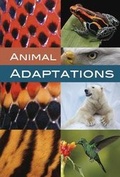 Cover: Animal Adaptations - Raintree