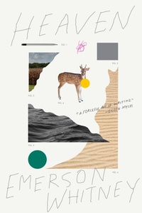 Enlarge image Cover: Heaven - McSweeney's