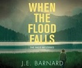 Cover: When the Flood Falls - Dreamscape Media