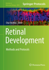 Abbildung von: Retinal Development - Humana