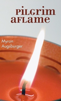 Enlarge image Cover: Pilgrim Aflame - Wipf & Stock Publishers