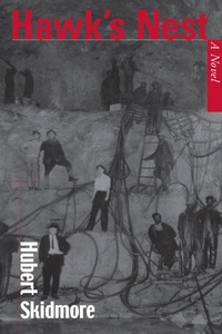 Abbildung von: Hawk's Nest - University of Tennessee Press