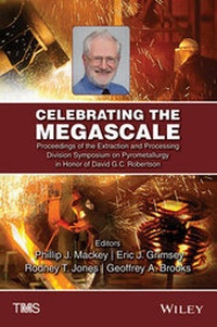 Enlarge image Cover: Celebrating the Megascale - Wiley