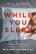 Cover: While You Slept - One More Chapter