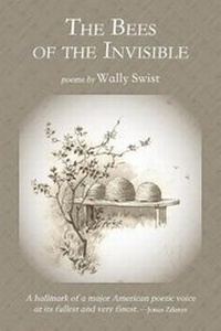 Enlarge image Cover: The Bees of the Invisible - SHANTI ARTS LLC