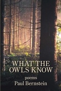 Cover: What the Owls Know - Kelsay Books