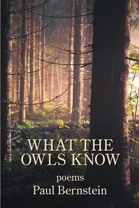 Enlarge image Cover: What the Owls Know - Kelsay Books