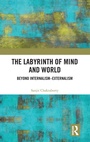 Cover: The Labyrinth of Mind and World - Routledge India