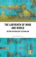 Cover: The Labyrinth of Mind and World - Routledge India