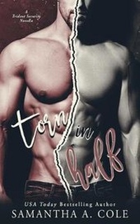 Enlarge image Cover: Torn in Half - Suspenseful Seduction Publishing