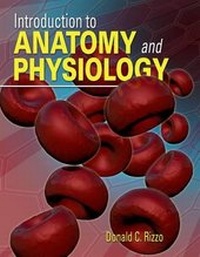 Enlarge image Cover: Introduction to Anatomy and Physiology - Cengage Learning, Inc