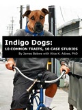 Bild: Indigo Dogs: 10 Common Traits, 10 Case Studies - James Babwe