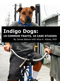 Bild: Indigo Dogs: 10 Common Traits, 10 Case Studies - James Babwe