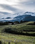 Cover: New Zealand Writing Drawing Journal - Blurb